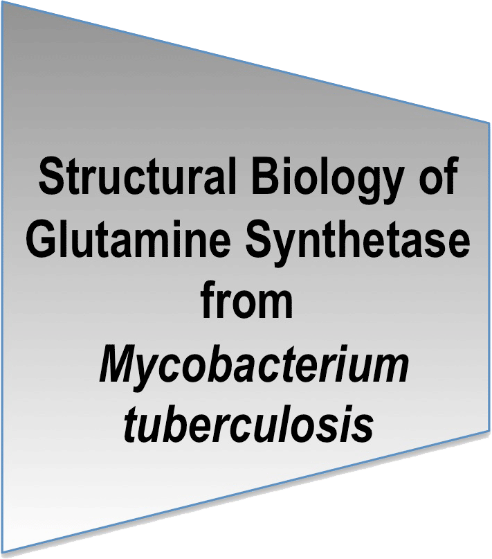 Link to Glutamine Synthetase Mycobacterium tuberculosis and Salmonella typhimurium page